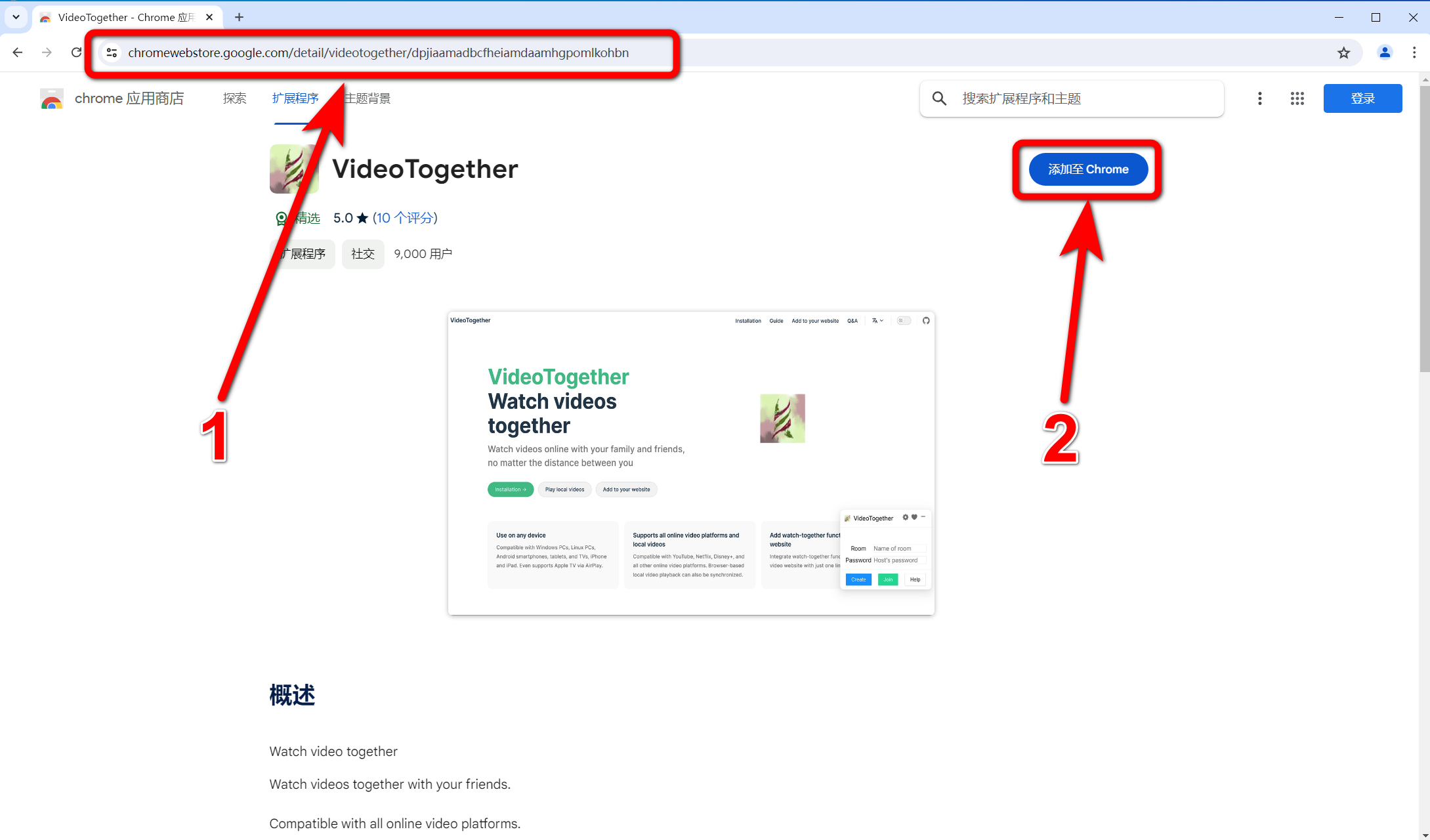 VT-Chrome-1.1.png
